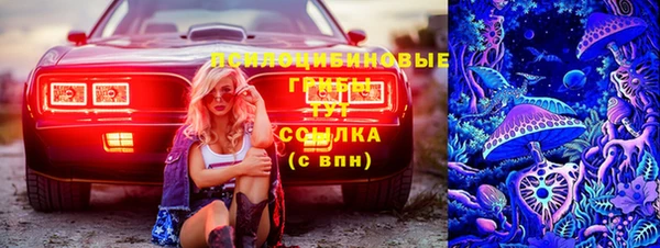 спиды Протвино