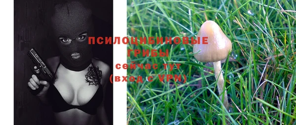 спиды Протвино
