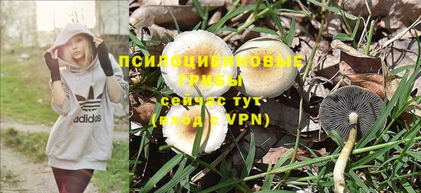ALPHA PVP Приозерск